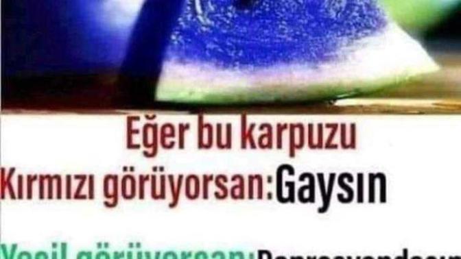 Bu karpuzu hangi renk görüyorsun?