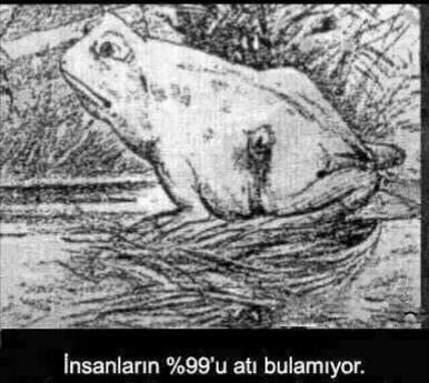 Bu resimde atı goren varmı?