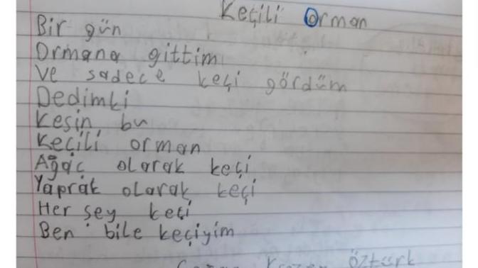 Bazı şiirler size de çok manasız gelmiyor mu?