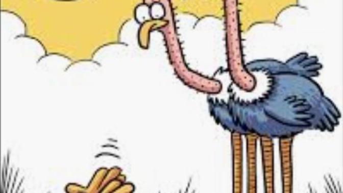İstenmediğiniz yerde durur musunuz?