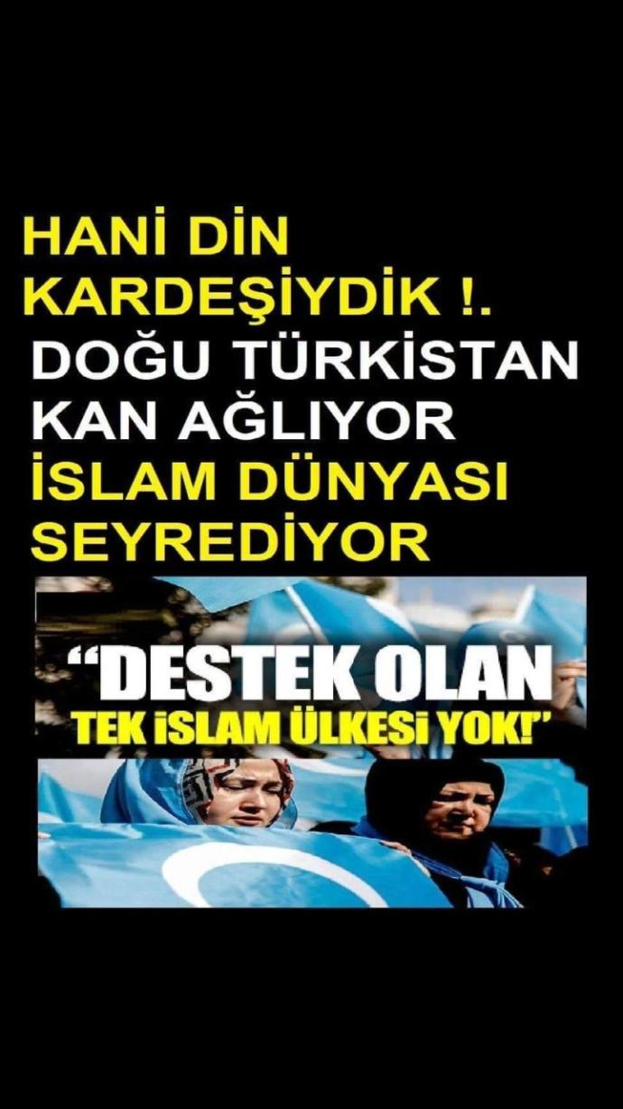 Doğu Türkistanı neden kimse konuşmuyor? Neden kimsenin gündeminde değil?