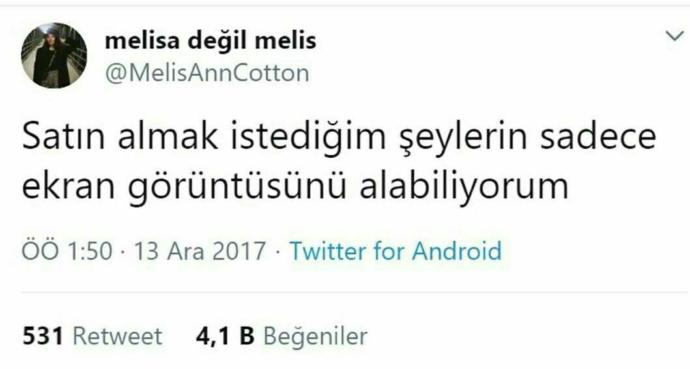 Satın almak istediğiniz her şeyi alabiliyor musunuz?