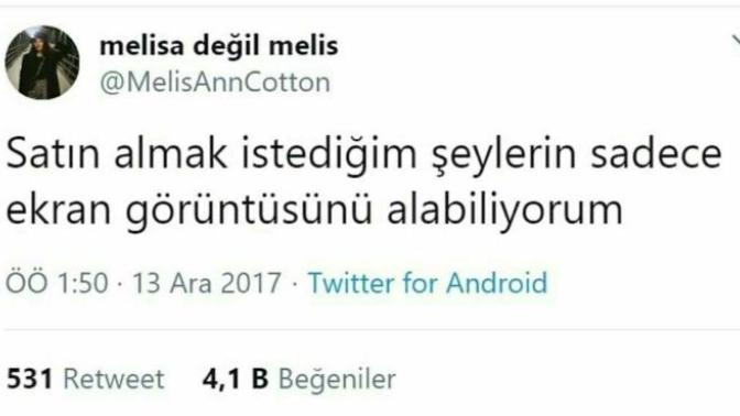 Satın almak istediğiniz her şeyi alabiliyor musunuz?