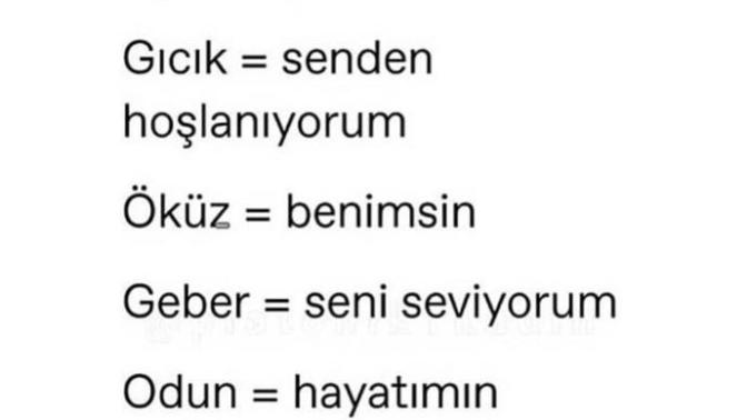Kız Dili ve Edebiyatı'nda bunlar ne kadar doğru?