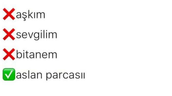 Manitaya hitap sekliniz nedir?