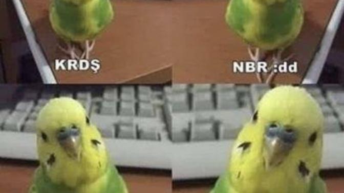 Neden uyumuyorsun kardeş?