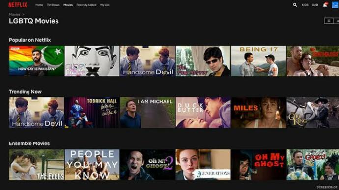 Netflixte bulunan filmler ve dizilerin eşcinselliği özendirdiğini düşünüyor musunuz?