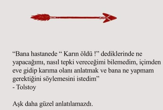 Bir cümlede AŞK diyebilir misin?