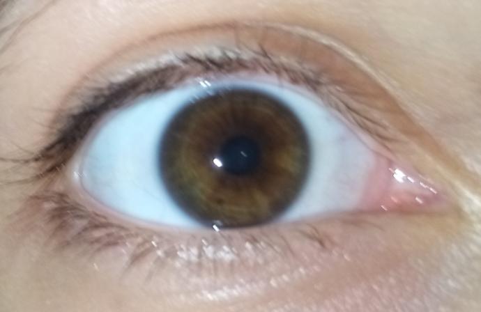 5 gündür biyokinezi yapıyorum gözlerim kahverengiydi ama dışı bence yeşermeye başladı çok az  bir  siz de baksanız?