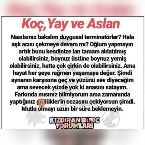 Burçların anlaşıp anlaşamadığı burçlar kimler bilmek ister misiniz?