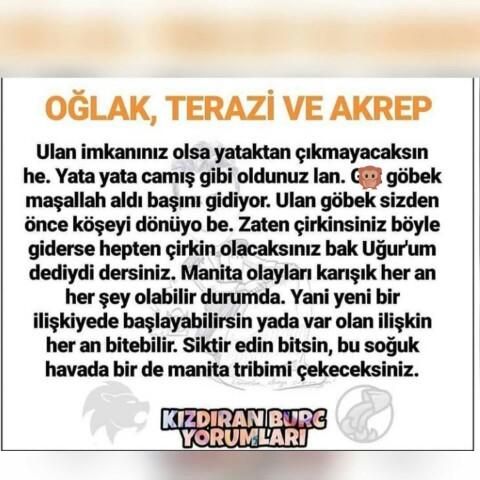 Burçların anlaşıp anlaşamadığı burçlar kimler bilmek ister misiniz?