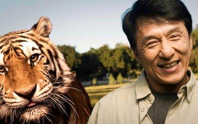Jackie Chanin en sevdiğiniz filmi hangisi?