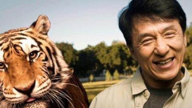 Jackie Chan'in en sevdiğiniz filmi hangisi?