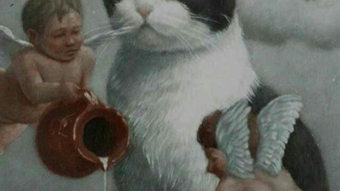Kedim bana Aşık olabilir mi?