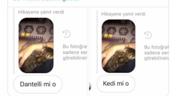 Erkekler kaça ayrılır?