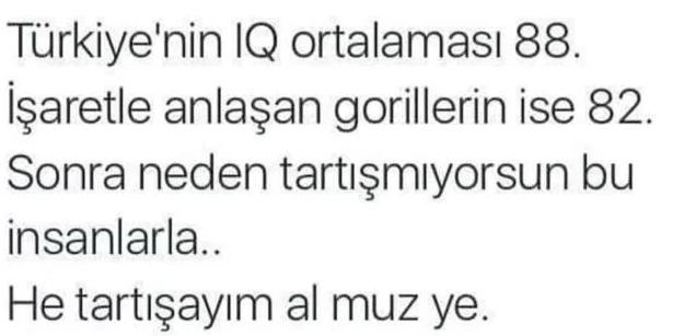 Türkiye’nin İQ ortalaması 88, Sizin çevrenizdeki insanların İQ ortalaması sizce kaç?