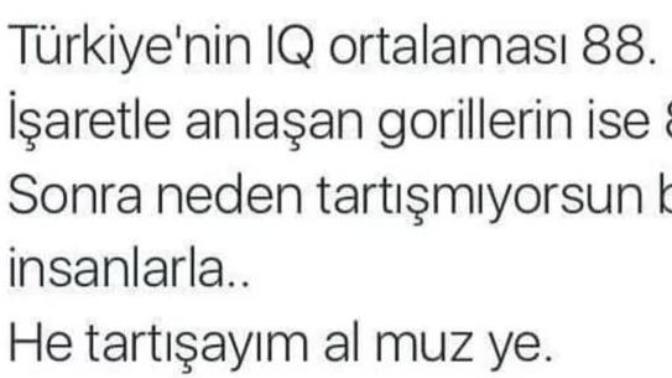 Türkiye’nin İQ ortalaması 88, Sizin çevrenizdeki insanların İQ ortalaması sizce kaç?