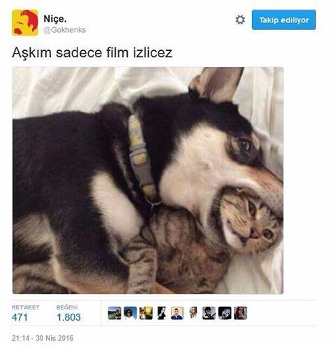 "Aşkım bize gidelim film izleriz" ne anlama gelir?