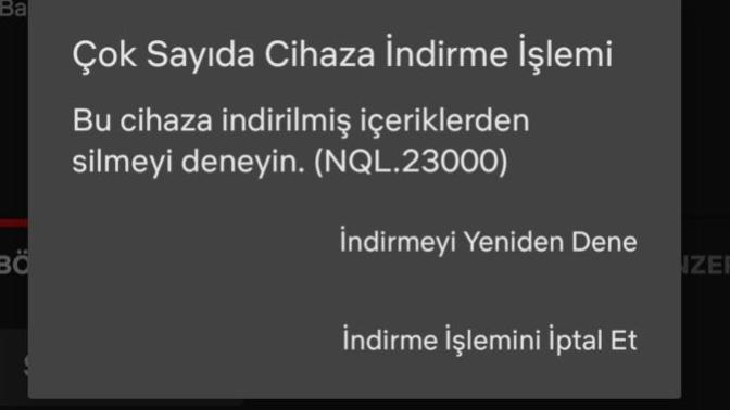 Netflix de aldığım bu hatayı nasıl giderebilirim?