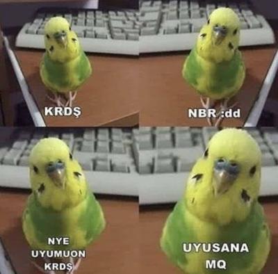 Buradan bir maviliye aşık oldum ne yapmalıyım?