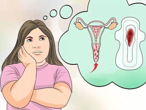 menstr&uuml;asyon nedir?