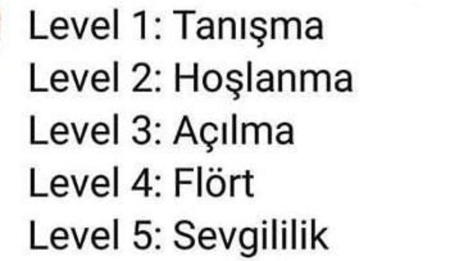 Siz bir ilişkide en çok kaçıncı seviyeye geldiniz?