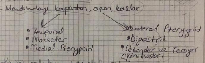 Arkadaşımın notları.