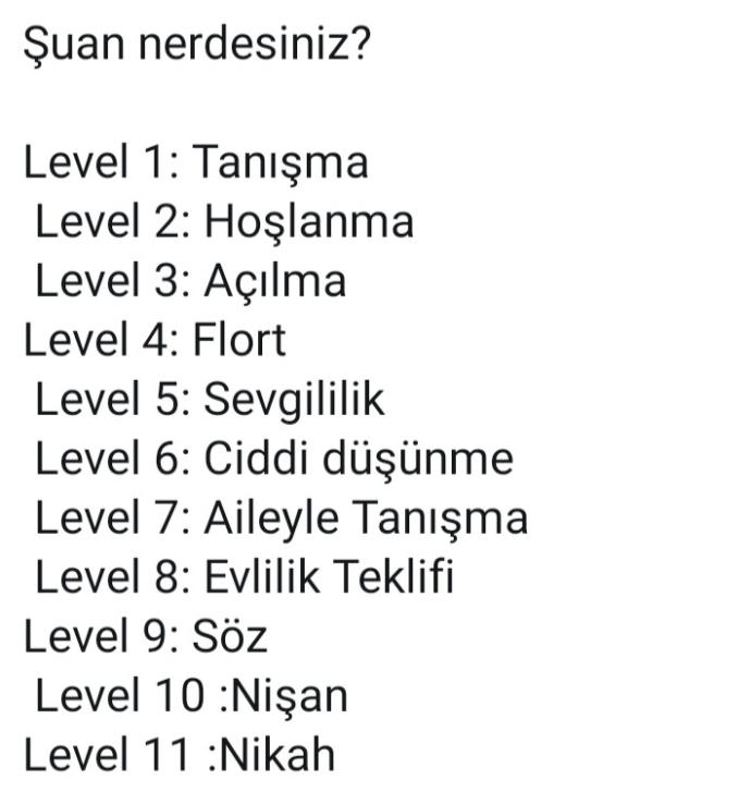 Aşk bir oyun olsaydı kaç level olurdunuz?