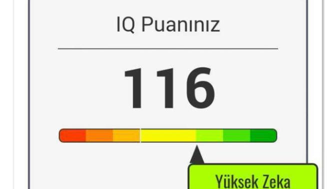 IQ testi yaptırdım sonuç iyi mi?