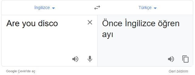 Google Translate'ye are you disco yazar mısınız?