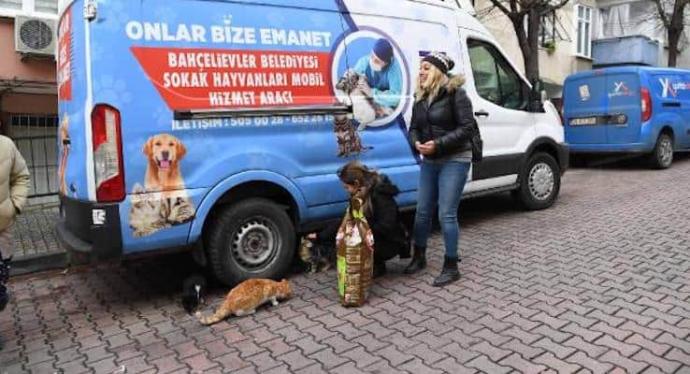 Bahçelievler belediyesi, sokak hayvanlarına 25 ton mama dağıttı! Bütün belediyeler bu organizasyonu yapmalı mı?