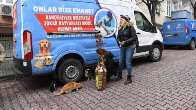 Bahçelievler belediyesi, sokak hayvanlarına 25 ton mama dağıttı! Bütün belediyeler bu organizasyonu yapmalı mı?