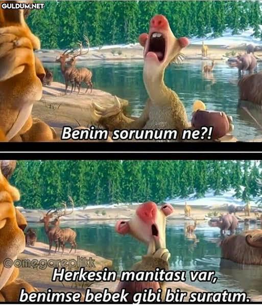 Herkesin manitası var ise sizin neyiniz var?