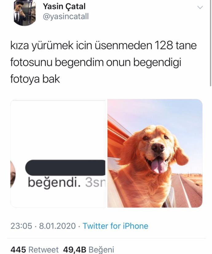 Sosyal medyalarınızda kendi fotolarınızı mı kullanırsınız yoksa çiçek böcek hayvan ve manzara resimleri mi?