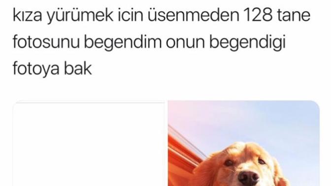 Sosyal medyalarınızda kendi fotolarınızı mı kullanırsınız yoksa çiçek böcek hayvan ve manzara resimleri mi?