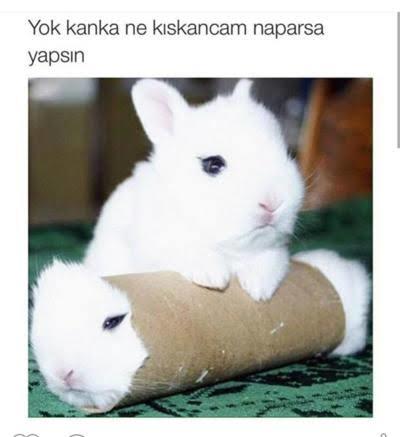 Kıskanç mısınız, kıskanılmayı sever misiniz?