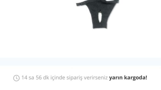 Evde dişi kedi kopek bakanlar adet olunca nasil cozum buluyor diye aklima gelirdi. Sizin cozumleriniz nedir?