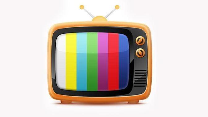 TV'de hangi kanalları seyrediyorsunuz?