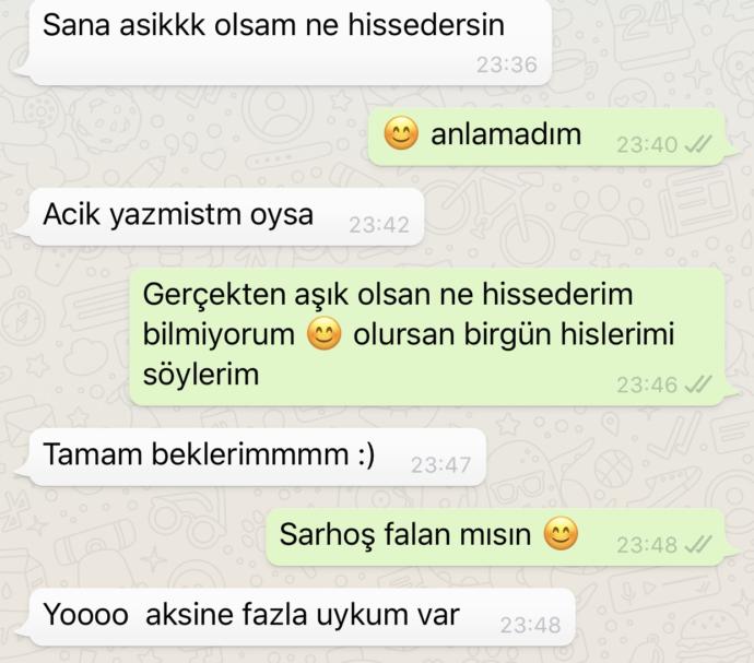 Sizce tamam beklerim derken ne demek istemiş?
