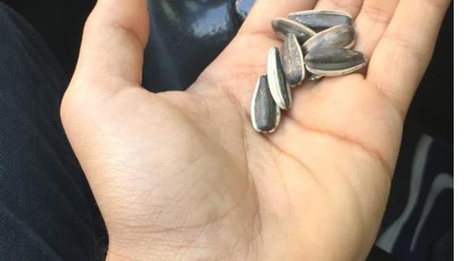 Çekirdeği tuzlu mu seversiniz tuzsuz mu?