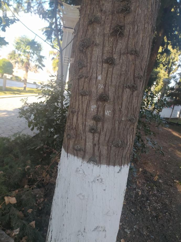 Eski günleri hatırlayınca mutlu mu oluyorsunuz yoksa hüzünlenir misiniz?