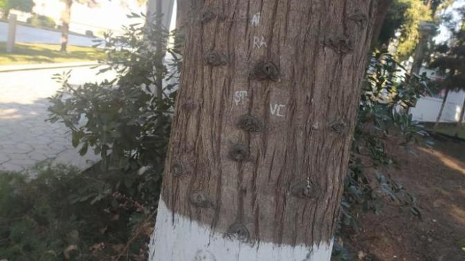 Eski günleri hatırlayınca mutlu mu oluyorsunuz yoksa hüzünlenir misiniz?