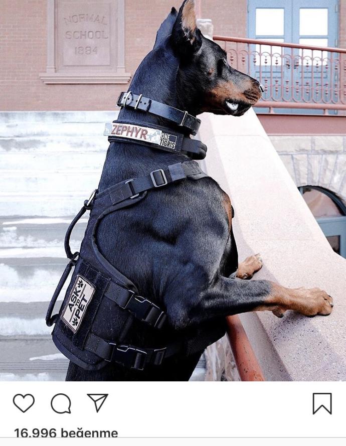 Arkadaşlar bundanım olsun istiyorum çok mu şey istiyorum?