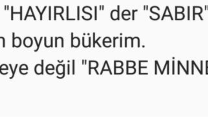 Sizce ne demek istiyor ?
