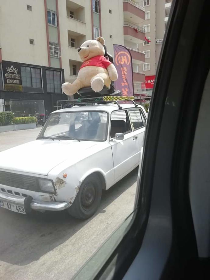 İşte kızlarında zayıf noktası bu ayıya çiçeğe tav oluyorlar :)