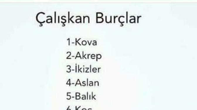 Burcuna göre tembel misin yoksa çalışkan mı?
