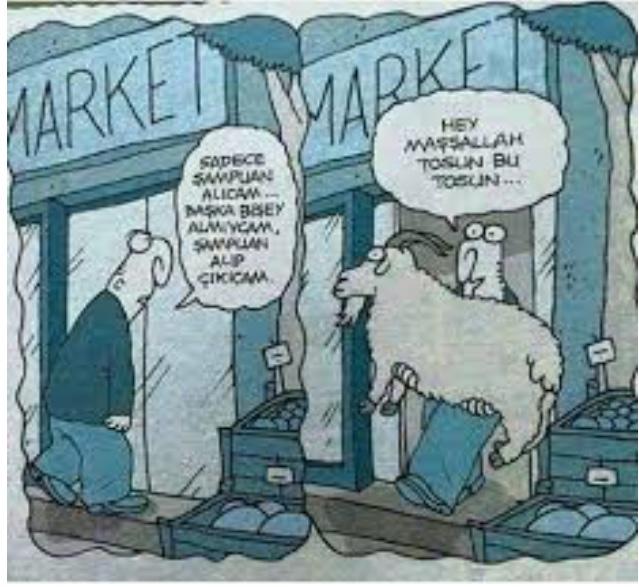 Alışverişe gittiğinizde ilk önce hangi reyona bakarsınız ya da ilk önce ne alırsınız?