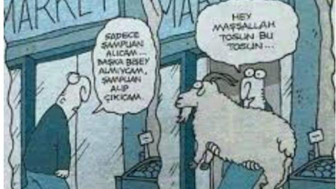 Alışverişe gittiğinizde ilk önce hangi reyona bakarsınız ya da ilk önce ne alırsınız?