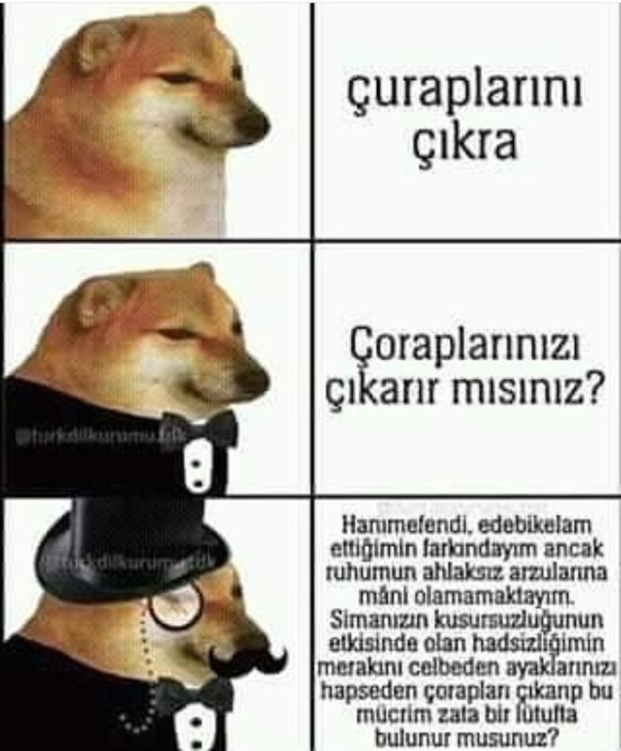 Neden hiç sevgilim olmadı yeter?