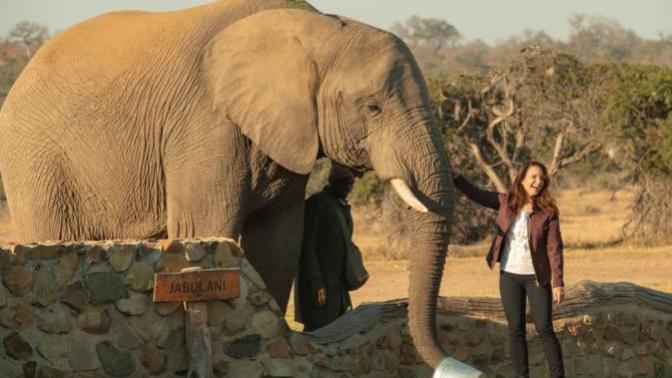 İnsan sandıklarınız ne çıktı?